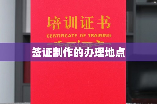 襄城签证制作的办理地点