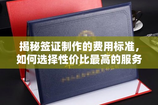 襄城揭秘签证制作的费用标准，如何选择性价比最高的服务？