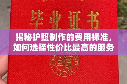 襄城揭秘护照制作的费用标准，如何选择性价比最高的服务？