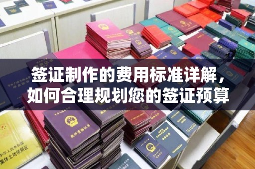 襄城签证制作的费用标准详解，如何合理规划您的签证预算