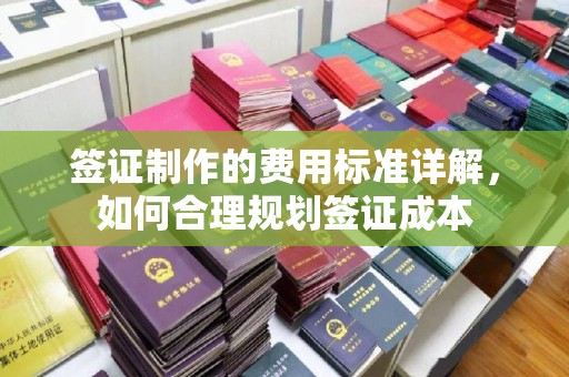 襄城签证制作的费用标准详解，如何合理规划签证成本