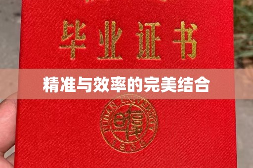 襄城精准与效率的完美结合